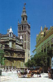 Egypt Travel Tours 