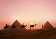 Egypt Pyramids