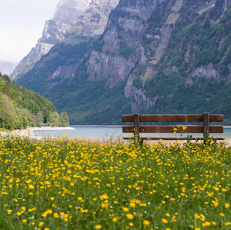 Switzerland Tours, Packages & Trips 2025, 2025 Pilgrim Tours