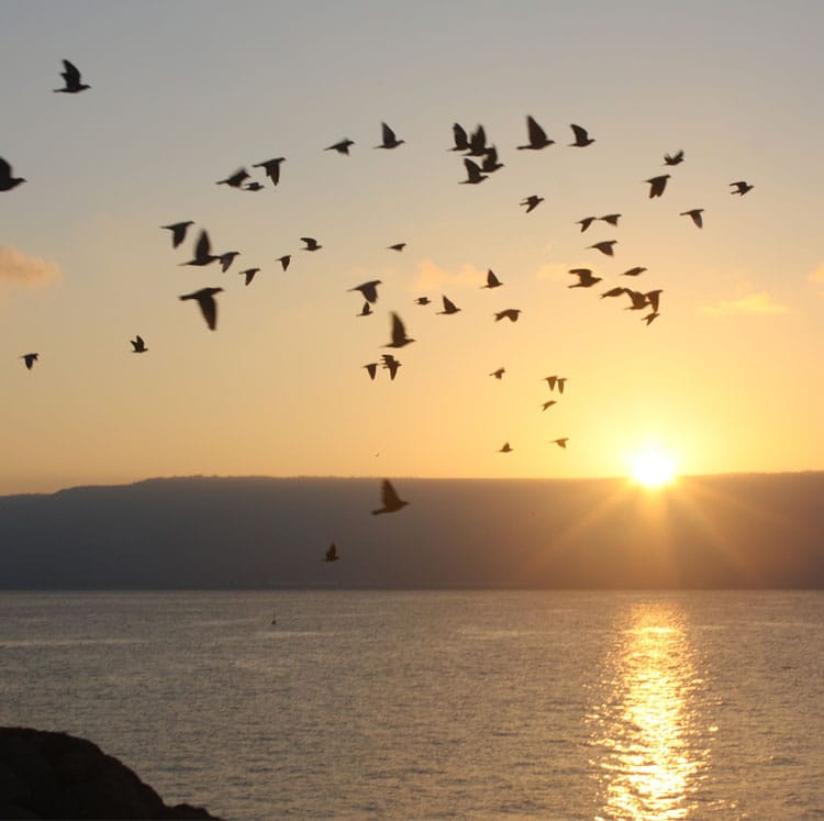 Sea of Galilee Sunrise, Israel