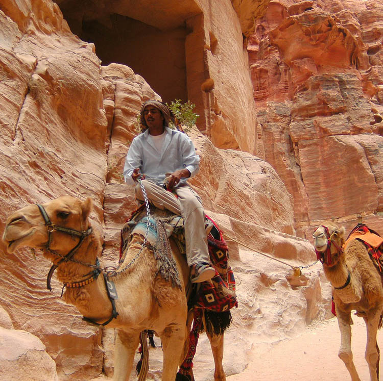 group tours to jordan