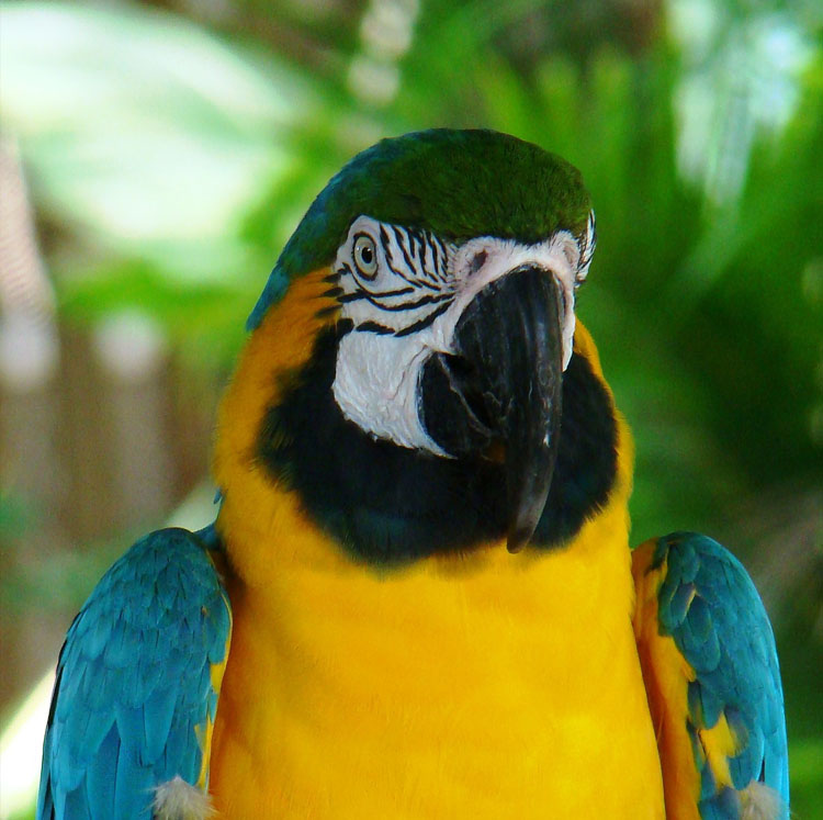 Central & South America Tours, Packages & Trips 2024, 2025 Pilgrim Tours