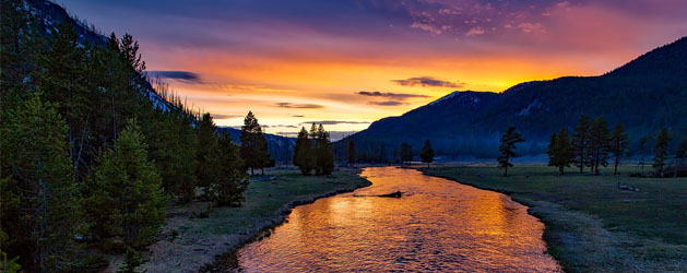 Yellowstone National Park